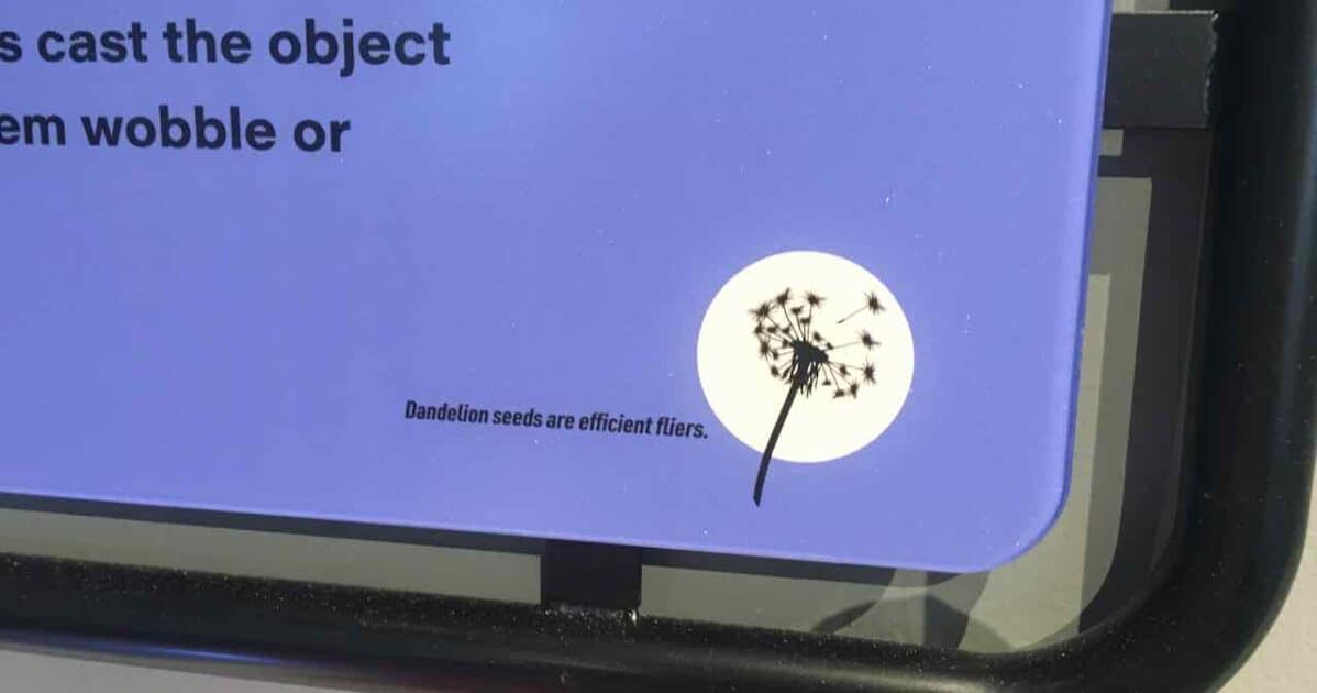 AAHOM STEAM PARK - Dandelion image shows how seeds flow in air current