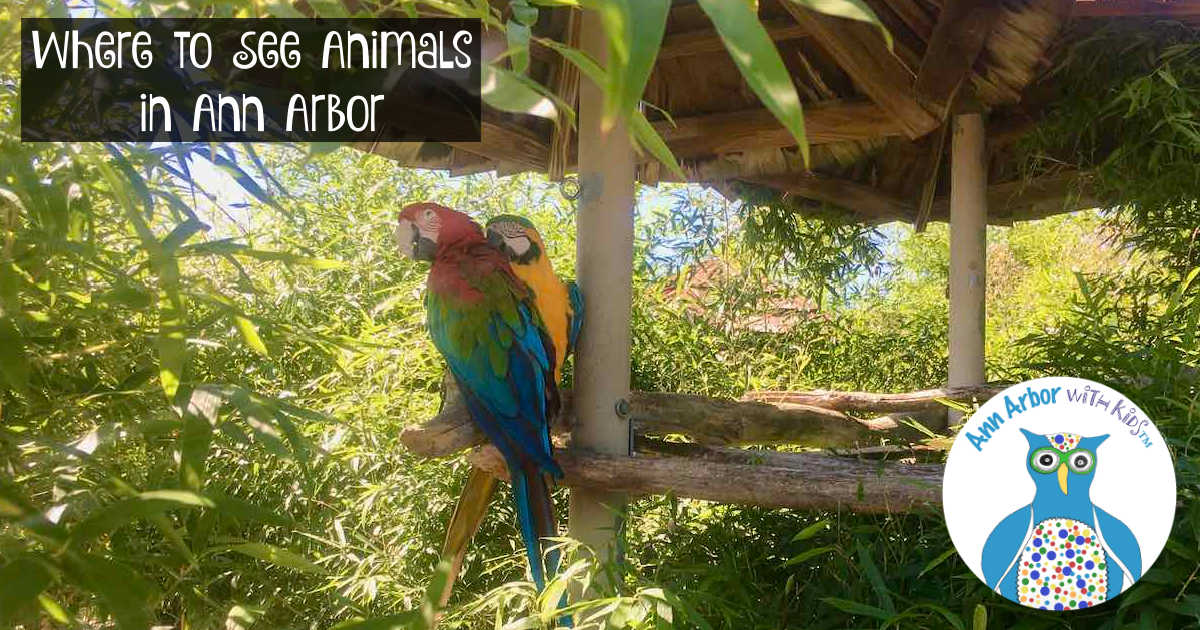 Where to find animals in Ann Arbor