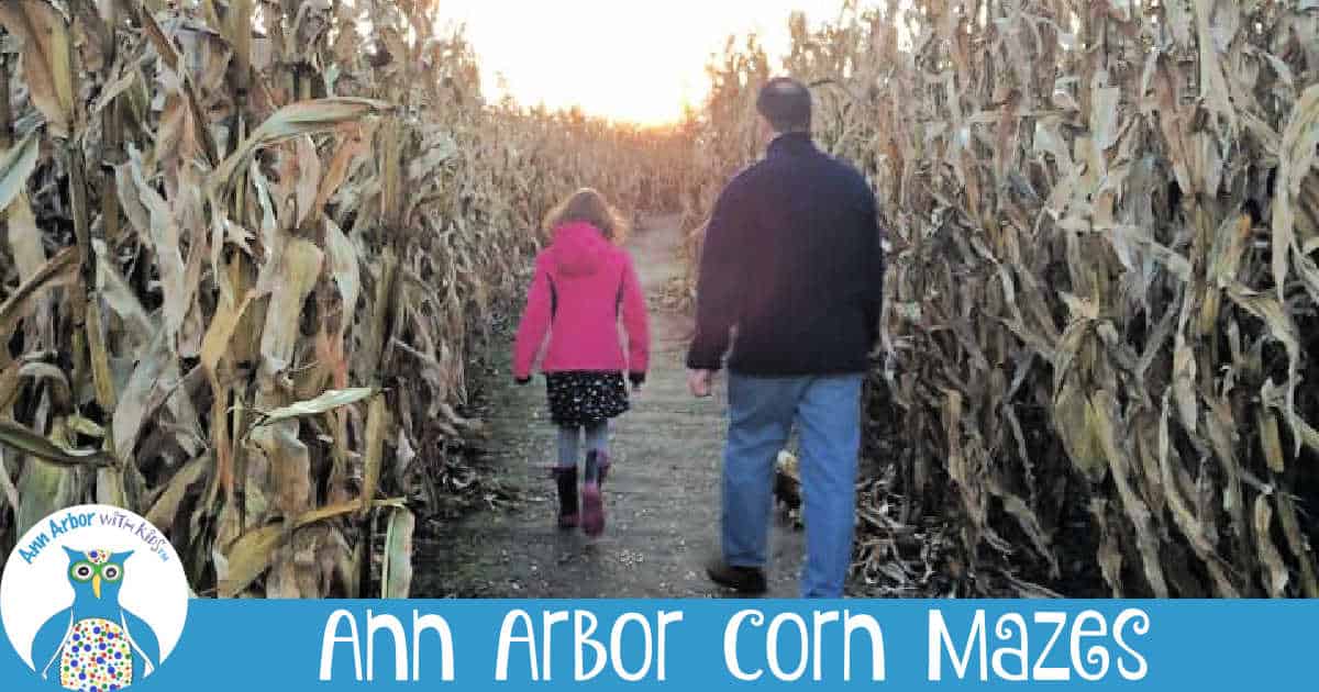 Ann Arbor Corn Mazes - Back of father and Daughter walking through corn maze at sunset.