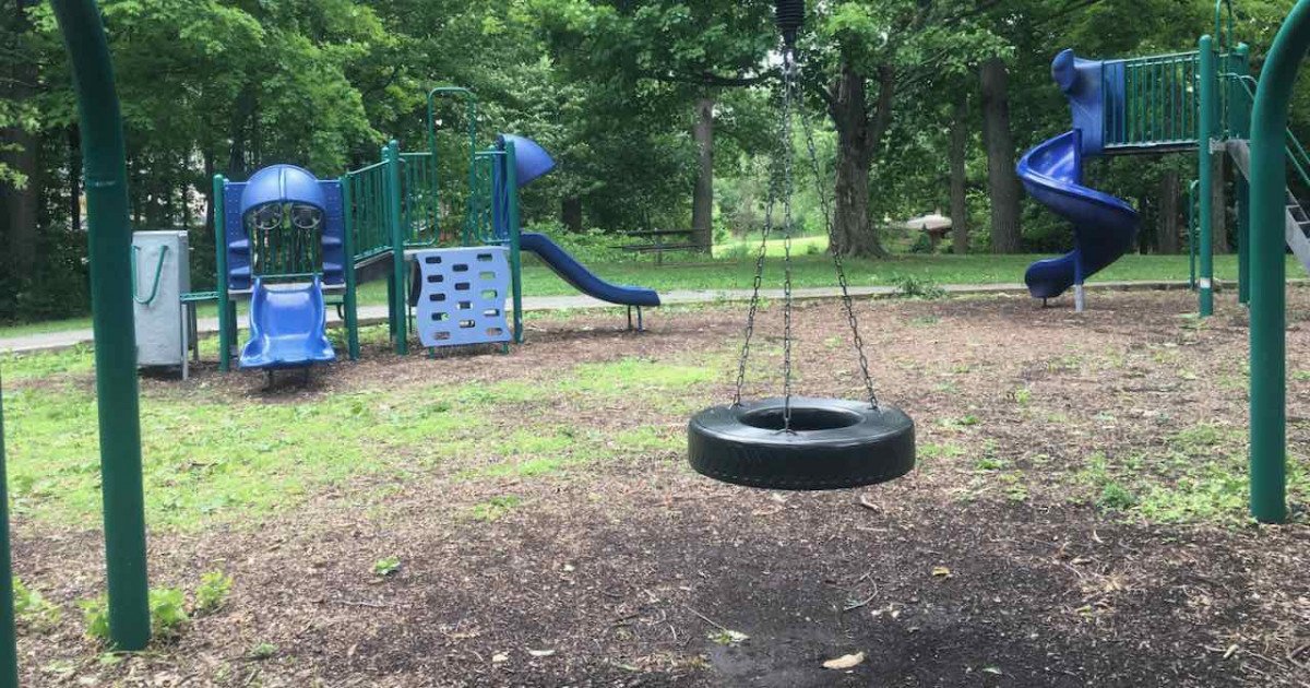 Ann Arbor's Fritz Park Playground Profile - Overview