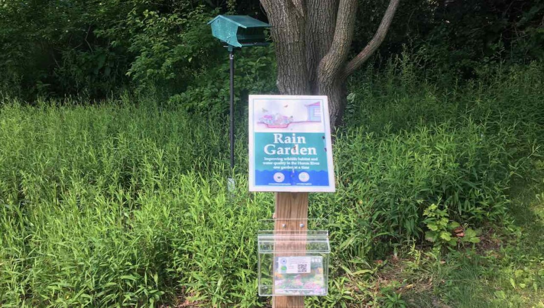 Ann Arbor Lansdowne Park - Rain Garden
