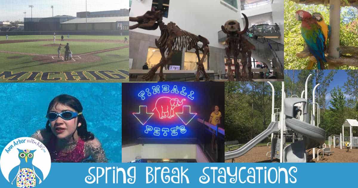 Ann Arbor Staycation - UM Baseball Game, UMMNH, Parrots at Creature Conservancy, Island Park, Pinball Pete's & Swimming