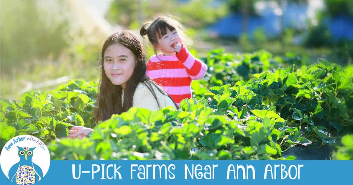 U-PIck Farms Near Ann Arbor - Two girls picking fruit in a field