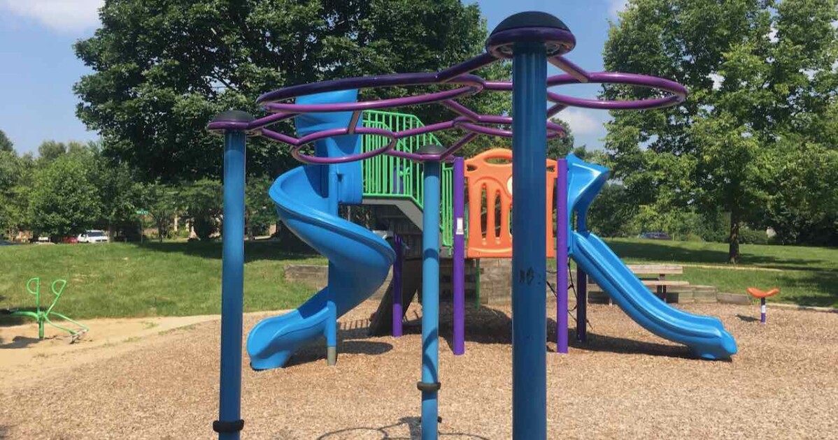 Burr Oak Park Hanging Bars