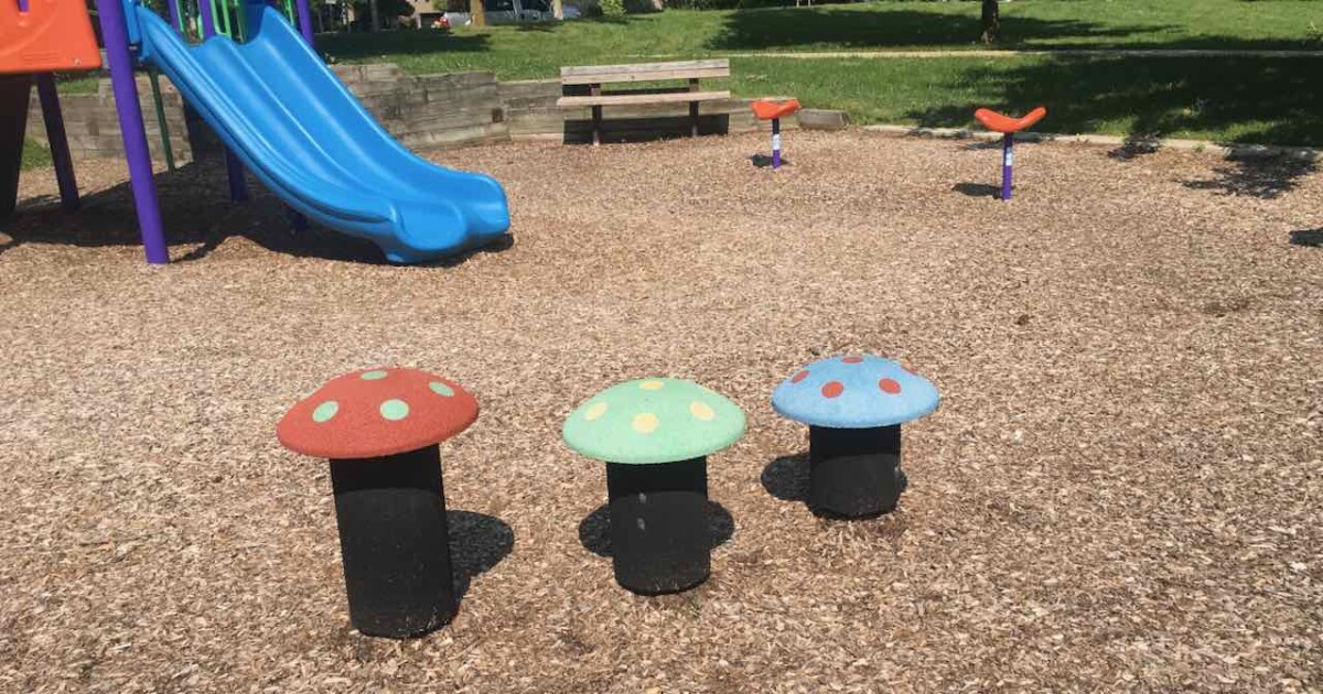 Burr Oak Park - Mushroom Climbers & Seat Spinners