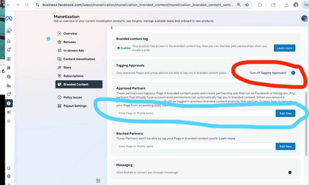 Facebook Business Suite - Monetization Tab - Branded Content - setting partner