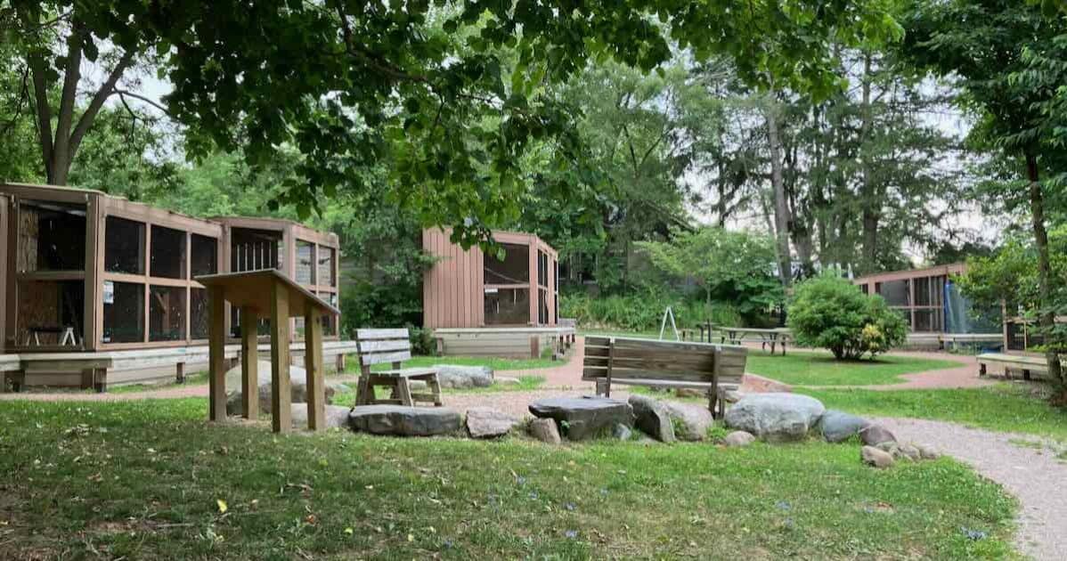 LSNC Raptor Enclosures