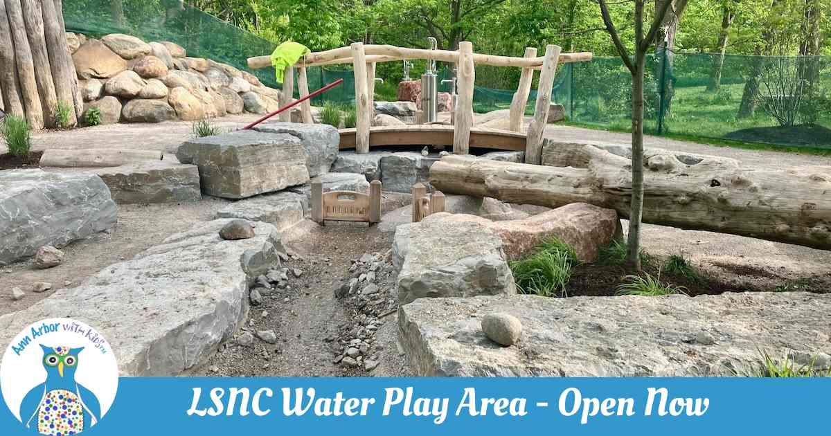 Leslie Science and Nature Center Waterplay area - Open Now - photo of waterplay area including stream, bridge, and pumps behind the bridge