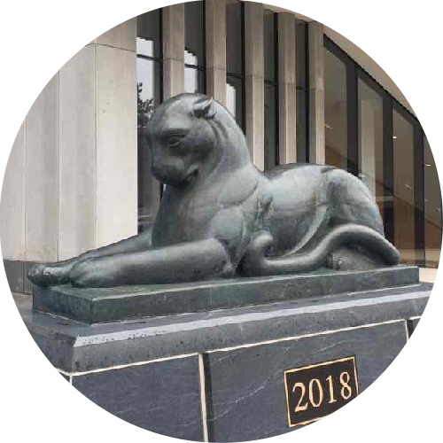Museums - Puma outside UM Museum of Natural History